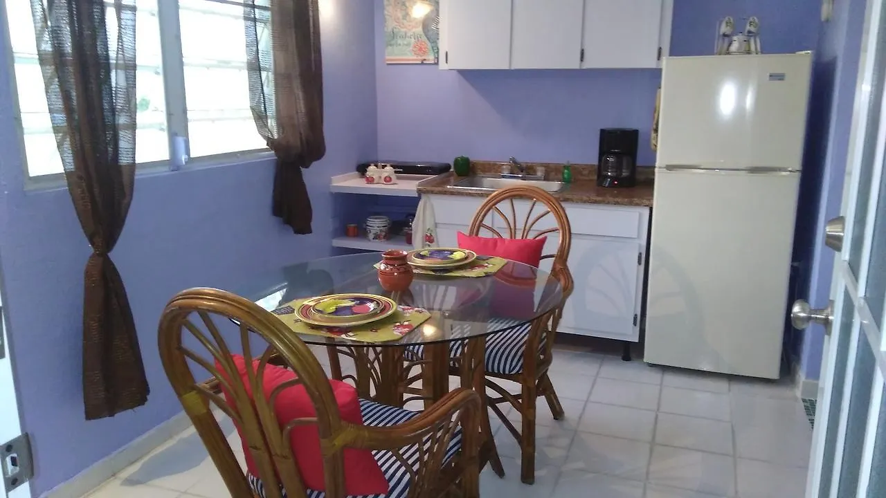 Tropical Island Daire Aguada
